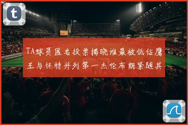 TA球员匿名投票揭晓谁最被低估鹰王与怀特并列第一杰伦布朗紧随其后